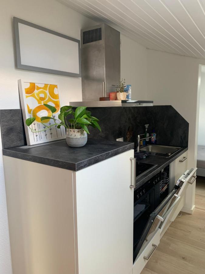 Schoene, Grosse Ferienwohnung Direkt Am Donauradweg & Keltenstadt Heuneburg Herbertingen Ngoại thất bức ảnh