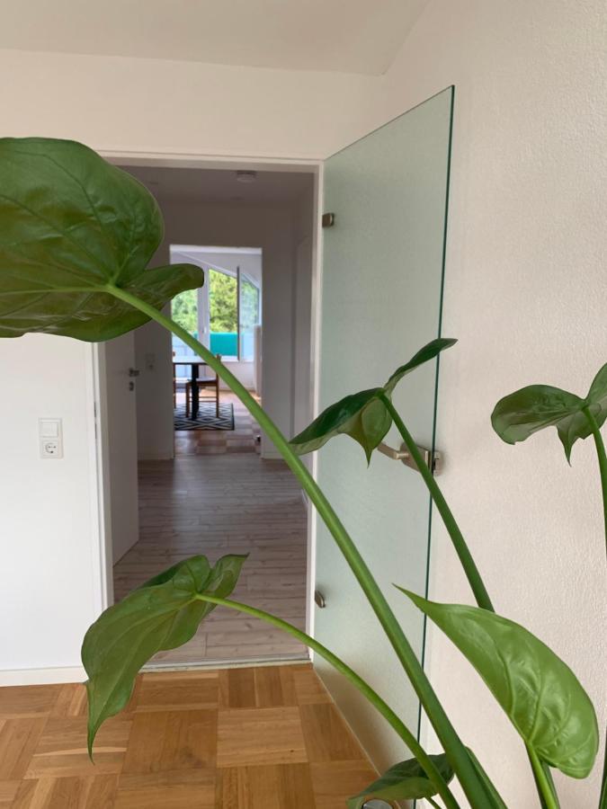 Schoene, Grosse Ferienwohnung Direkt Am Donauradweg & Keltenstadt Heuneburg Herbertingen Ngoại thất bức ảnh