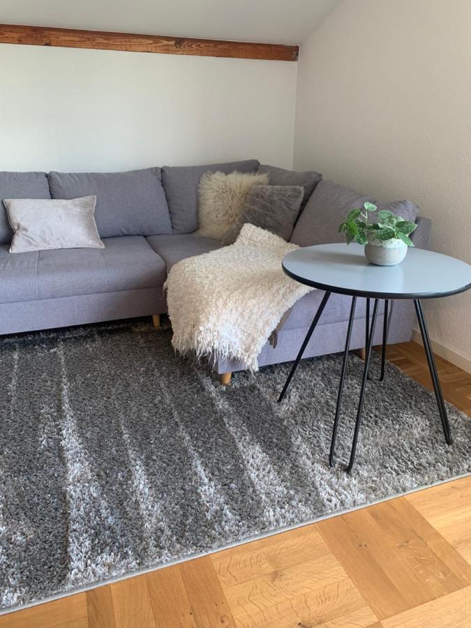 Schoene, Grosse Ferienwohnung Direkt Am Donauradweg & Keltenstadt Heuneburg Herbertingen Ngoại thất bức ảnh